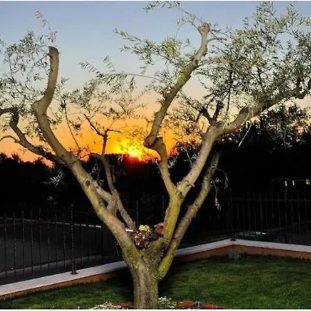 Modern Holiday In Novigrad With Swimming Pool * Novigrad Istria